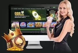 bd3333 apk